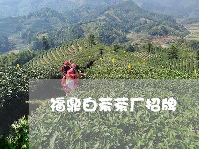 福鼎白茶茶厂招牌/2023070860795