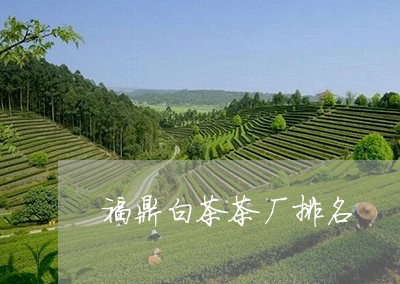 福鼎白茶茶厂排名/2023112687058