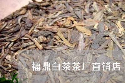 福鼎白茶茶厂直销店/2023120373948