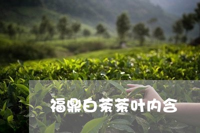 福鼎白茶茶叶内含/2023112650481