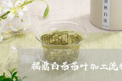 福鼎白茶茶叶加工流程/2023091573824