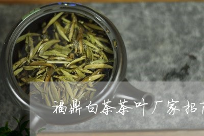 福鼎白茶茶叶厂家招商电话/2023042859362