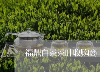 福鼎白茶茶叶收购商/2023062858470