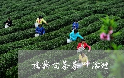 福鼎白茶茶叶话题/2023062832814