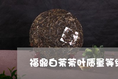 福鼎白茶茶叶质量等级/2023120885828