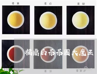 福鼎白茶茶圈大魔王/2023062884859