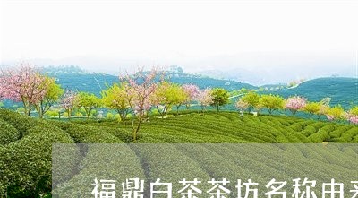 福鼎白茶茶坊名称由来介绍/2023042827461