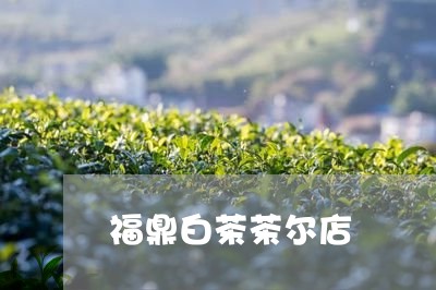 福鼎白茶茶尔店/2023111629362