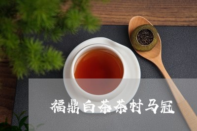 福鼎白茶茶村马冠/2023070862613