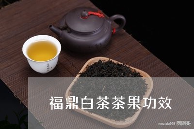 福鼎白茶茶果功效/2023090525072