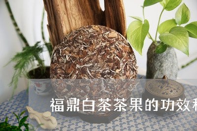 福鼎白茶茶果的功效和作用/2023062925269