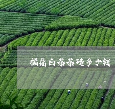 福鼎白茶茶砖多少钱/2023120315048