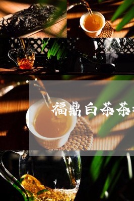 福鼎白茶茶籽/2023052221402