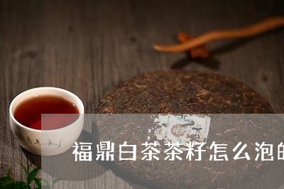 福鼎白茶茶籽怎么泡的好喝/2023042789582