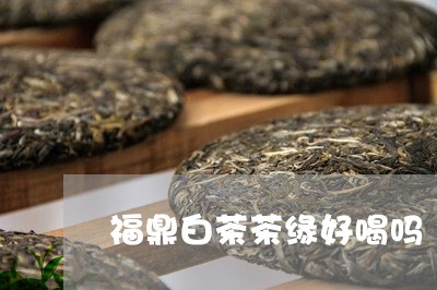 福鼎白茶茶缘好喝吗/2023110380506