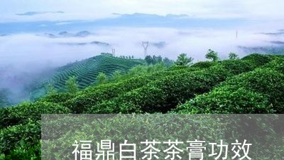 福鼎白茶茶膏功效/2023070890504