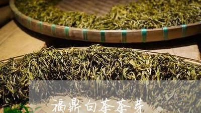 福鼎白茶茶芽/2023052237473