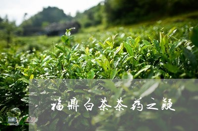 福鼎白茶茶药之疑/2023112627372