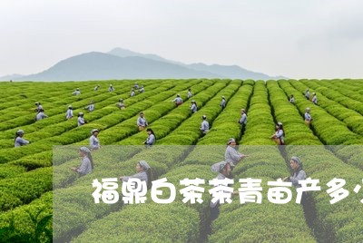 福鼎白茶茶青亩产多少斤/2023092577494