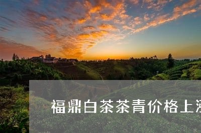 福鼎白茶茶青价格上涨/2023091593836