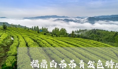 福鼎白茶茶青发色特点/2023091505137