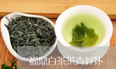 福鼎白茶茶青好坏/2023112591492