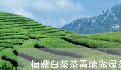 福鼎白茶茶青能做绿茶吗/2023092162706