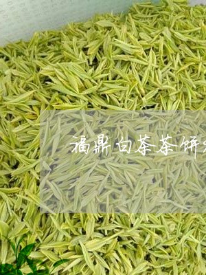 福鼎白茶茶饼90g可以泡几泡/2023062811936