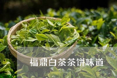 福鼎白茶茶饼味道/2023090560471