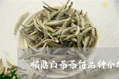 福鼎白茶茶饼品种介绍大全/2023042795827