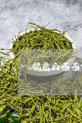 福鼎白茶茶饼哪个部分好喝/2023042762839