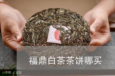 福鼎白茶茶饼哪买/2023112546473