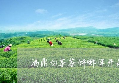 福鼎白茶茶饼哪年开始/2023120752725