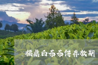 福鼎白茶茶饼存放期/2023120819571