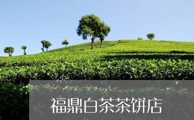 福鼎白茶茶饼店/2023112561794