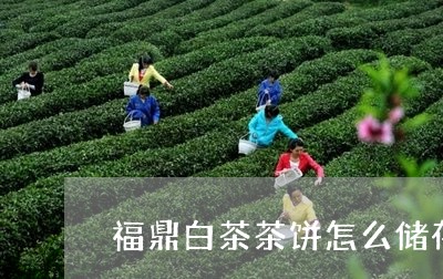 福鼎白茶茶饼怎么储存最好/2023042779725