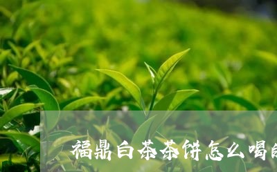 福鼎白茶茶饼怎么喝的/2023120630584