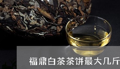 福鼎白茶茶饼最大几斤/2023120750602