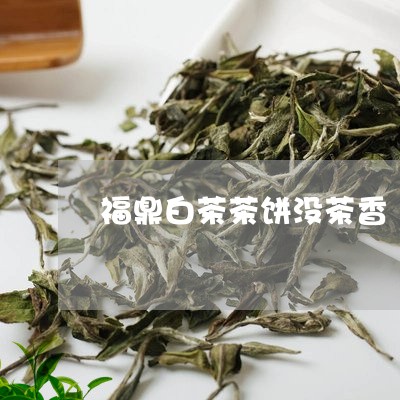 福鼎白茶茶饼没茶香/2023120349403