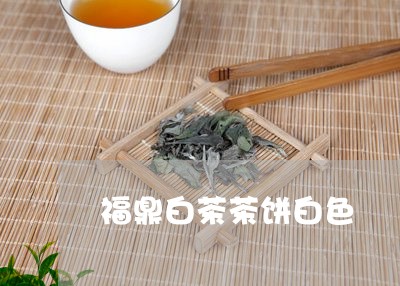 福鼎白茶茶饼白色/2023112553624