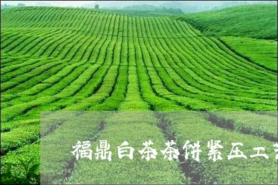 福鼎白茶茶饼紧压工艺/2023120710513