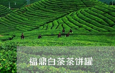 福鼎白茶茶饼罐/2023082536460