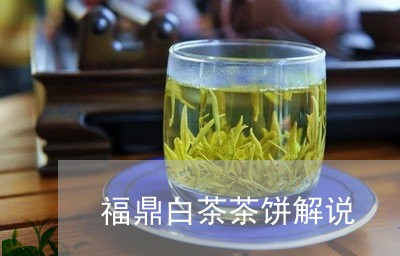 福鼎白茶茶饼解说/2023112519692