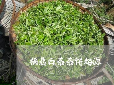 福鼎白茶茶饼起源/2023112689392