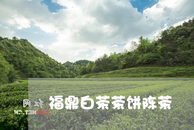 福鼎白茶茶饼陈茶/2023112694917