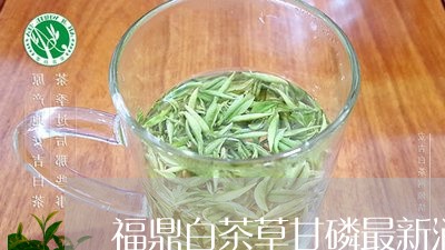 福鼎白茶草甘磷最新消息/2023092107361