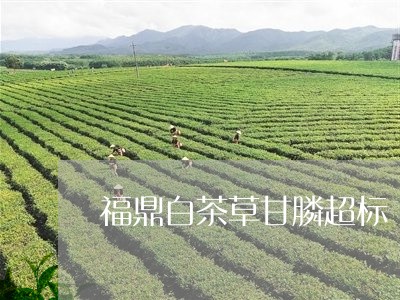 福鼎白茶草甘膦超标/2023120347369