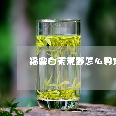 福鼎白茶荒野怎么界定/2023120789493