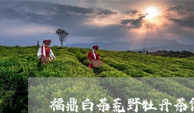 福鼎白茶荒野牡丹茶饼/2023120706279