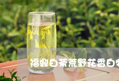 福鼎白茶荒野花香白牡丹/2023062980925